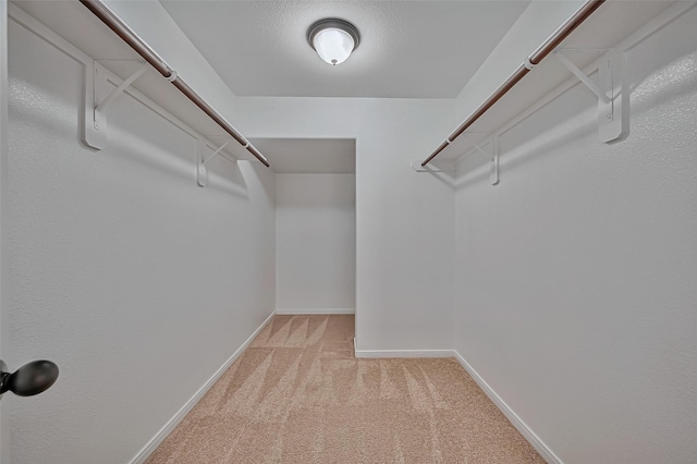 walk in closet with light colored carpet