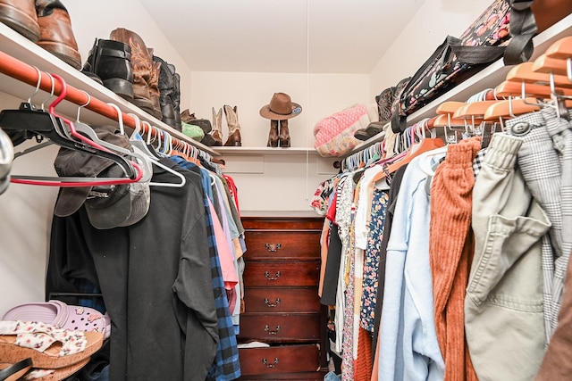 view of spacious closet