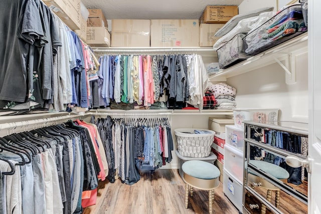 spacious closet with hardwood / wood-style floors