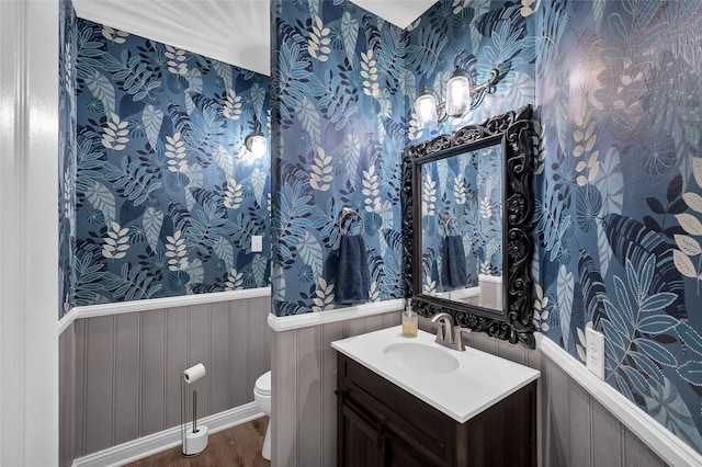 bathroom with vanity, wood-type flooring, and toilet