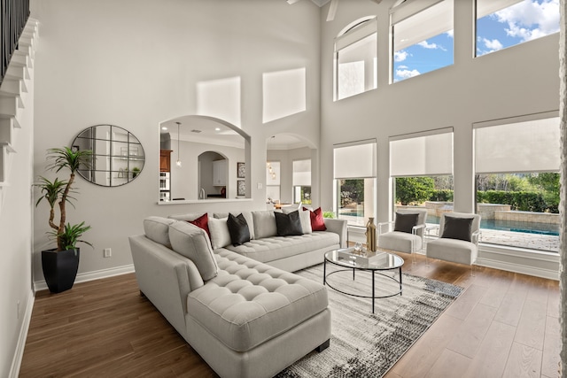 living room featuring a high ceiling, wood-type flooring, and plenty of natural light