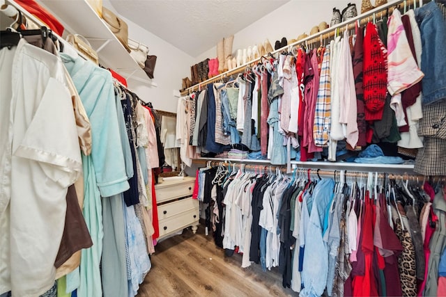 spacious closet featuring hardwood / wood-style flooring