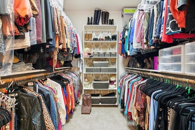 walk in closet with carpet flooring