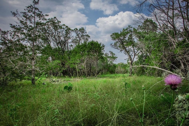 275 Hilltop Rdg, New Braunfels TX, 78132 land for sale