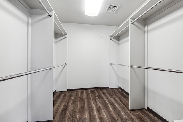 spacious closet featuring dark hardwood / wood-style floors