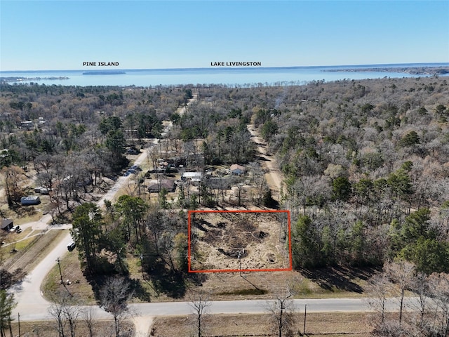 TBD Pull Tight Ln, Livingston TX, 77351 land for sale