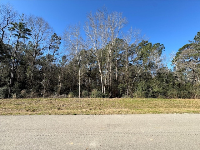 15-34-51 Alamo Dr, Huntsville, TX 77340