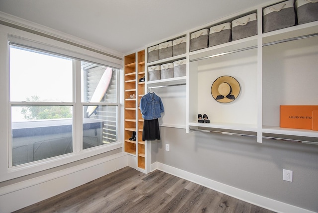 walk in closet with wood-type flooring