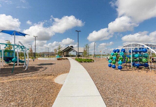 view of jungle gym