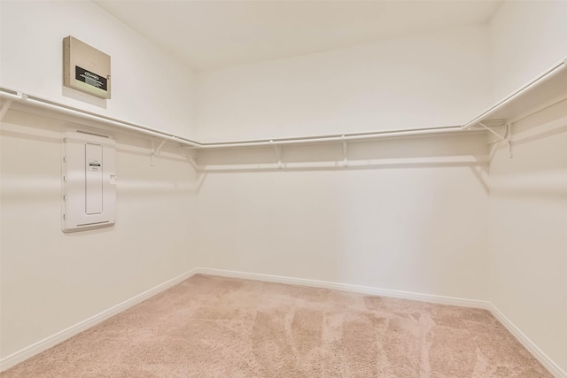 walk in closet with light colored carpet and electric panel