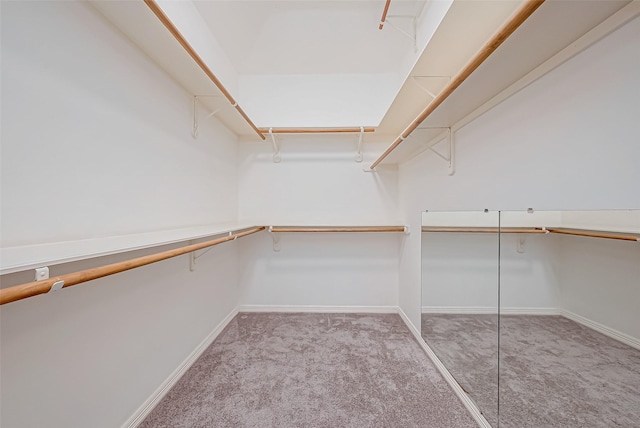 spacious closet with light carpet