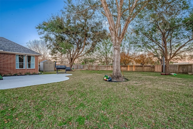 view of yard featuring a patio and a storage shed