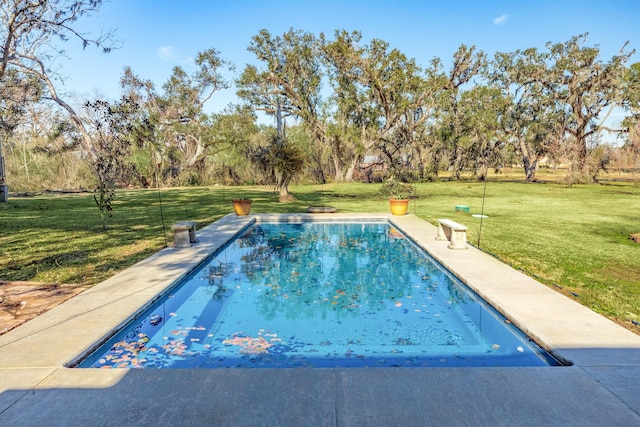 view of pool with a lawn