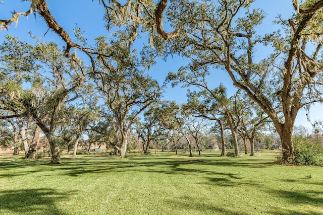 1907 Oak Island Dr, Lake Jackson, TX 77566 - photo 37