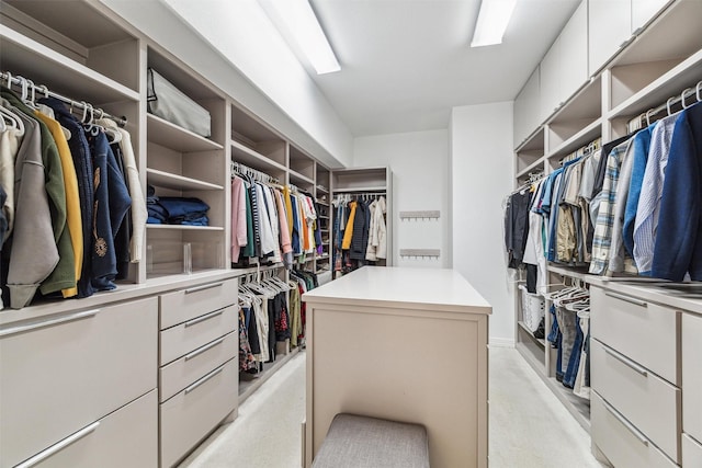 view of spacious closet