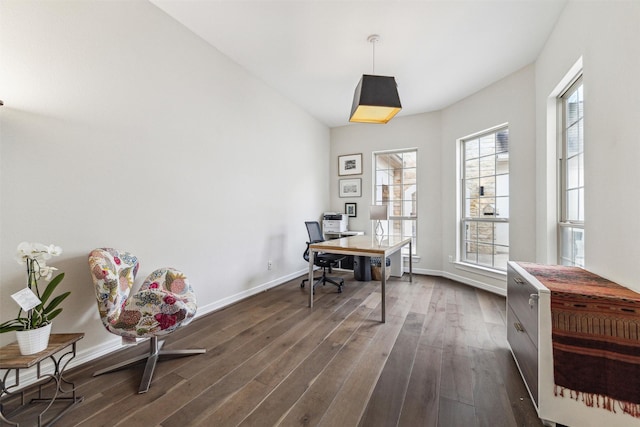 office space with dark hardwood / wood-style floors