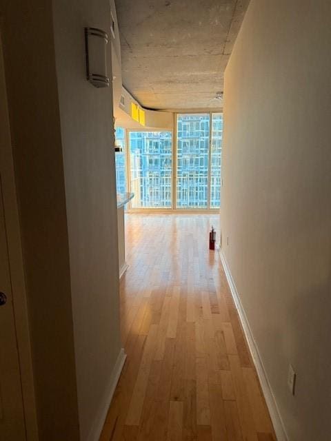 hall featuring light hardwood / wood-style floors and expansive windows