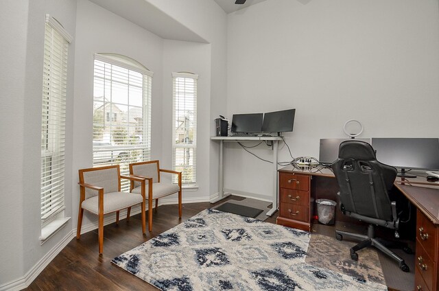 home office featuring dark hardwood / wood-style flooring