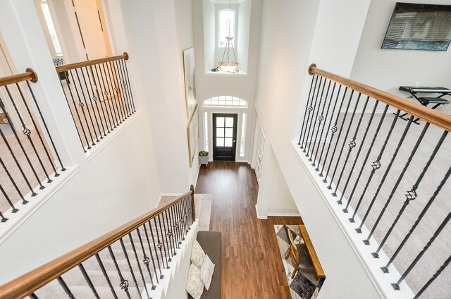 entryway featuring dark wood-type flooring and a towering ceiling