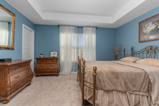 carpeted bedroom featuring a raised ceiling