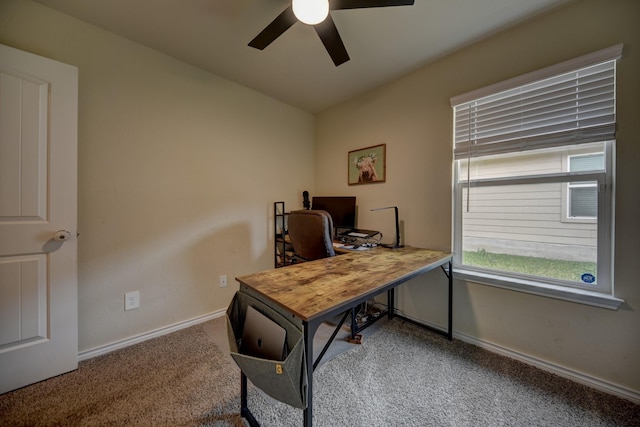 office area with ceiling fan and carpet flooring