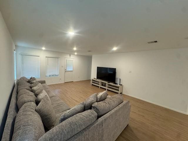 living room featuring hardwood / wood-style flooring