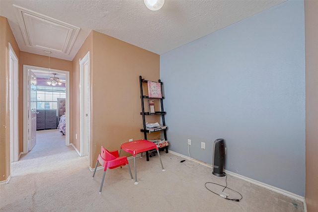 misc room with light carpet and a textured ceiling