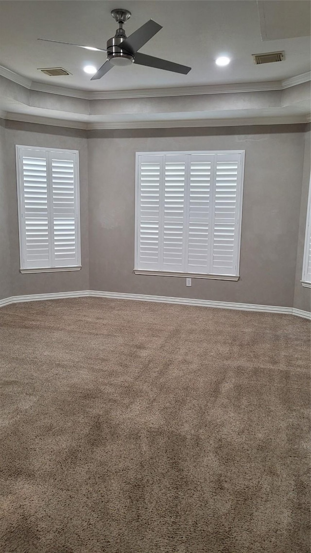 spare room with ceiling fan, ornamental molding, a raised ceiling, and carpet