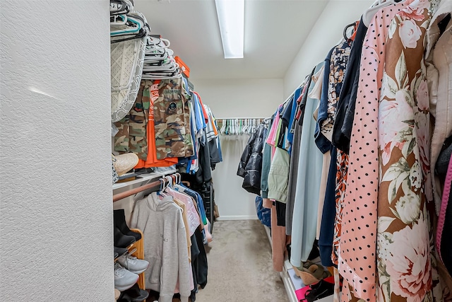 walk in closet featuring carpet flooring