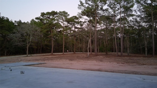 Listing photo 3 for TBD175 Fm 362nd Rd, Waller TX 77484