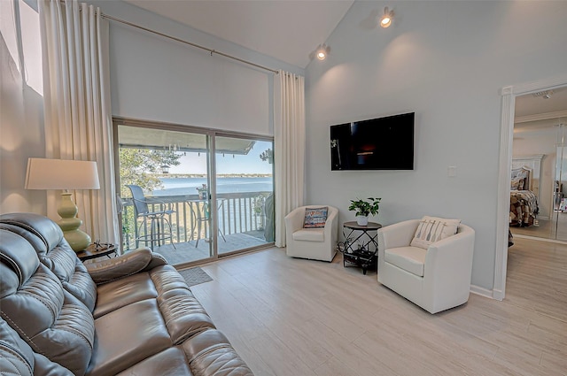 living room with high vaulted ceiling and light wood-type flooring