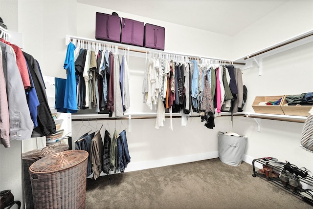 walk in closet featuring carpet flooring