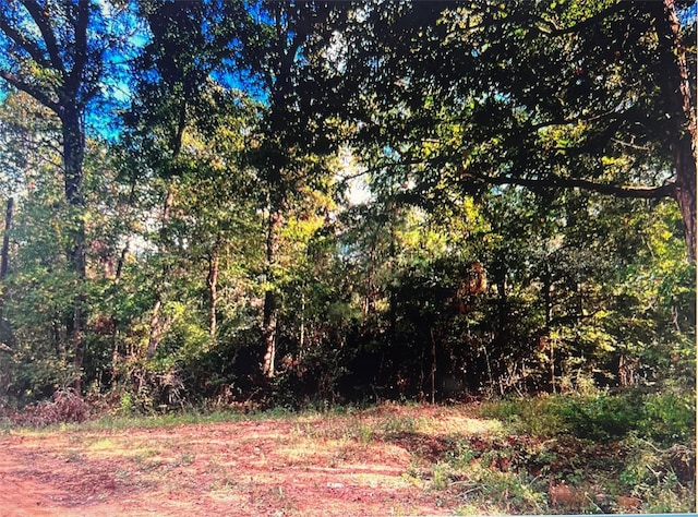 000 N Maid Marian, Shepherd TX, 77371 land for sale