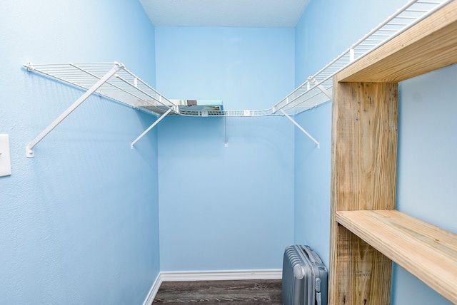 spacious closet featuring radiator and hardwood / wood-style floors