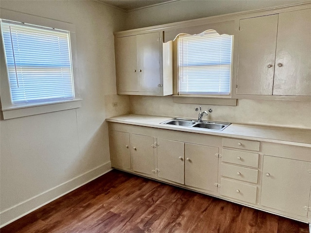 kitchen featuring a healthy amount of sunlight, sink, and dark wood-type flooring