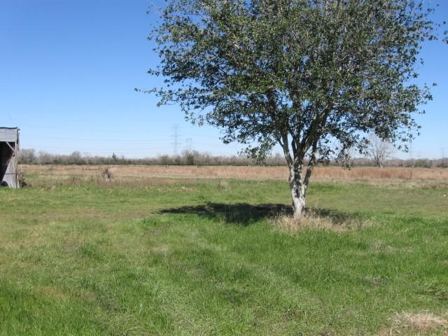 view of yard featuring a rural view