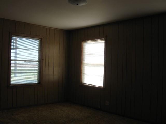 spare room featuring plenty of natural light and wooden walls