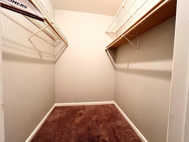 spacious closet with carpet