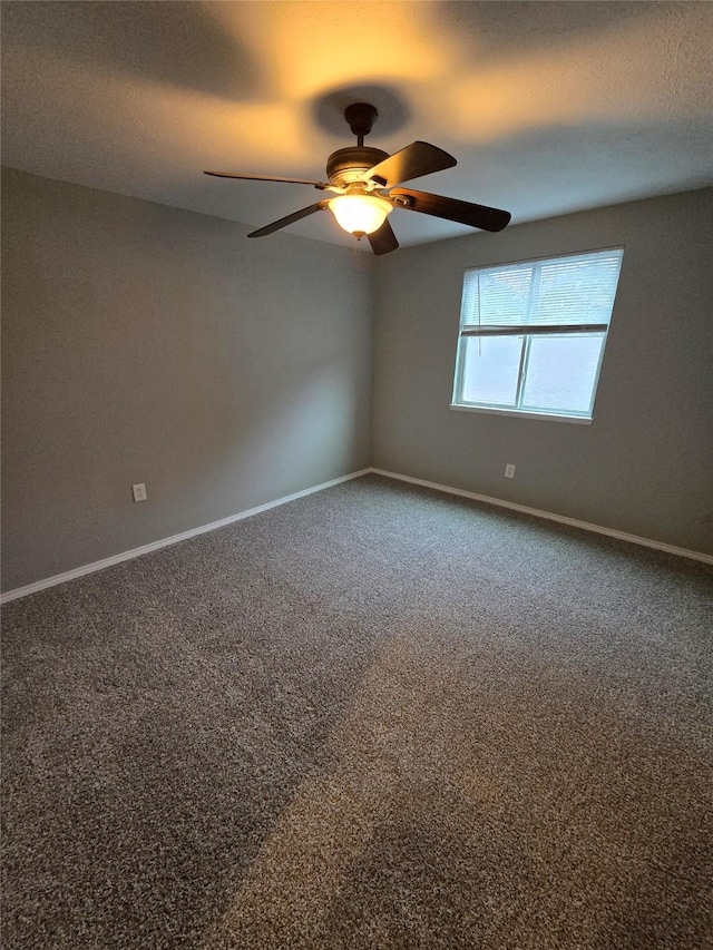 empty room featuring ceiling fan and carpet