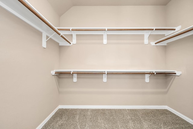 spacious closet featuring carpet flooring