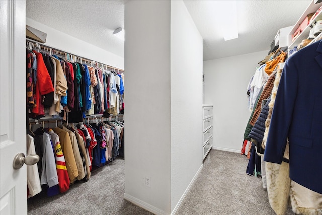 spacious closet featuring light colored carpet