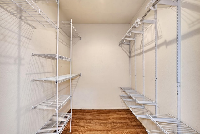 spacious closet with wood-type flooring