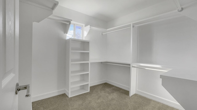 walk in closet with light colored carpet