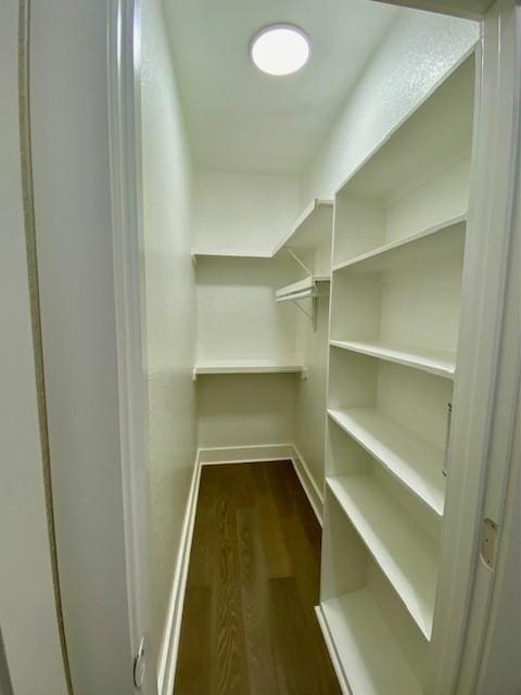 walk in closet with dark wood-type flooring