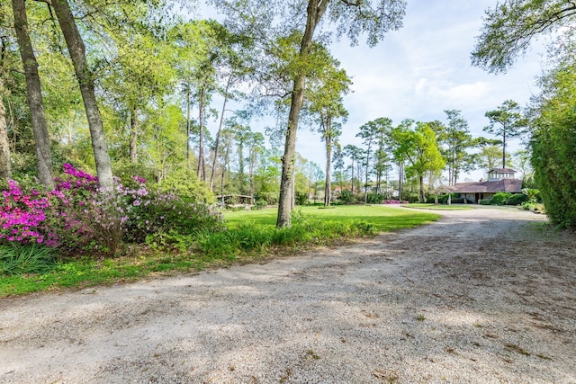 19410 Nehoc Ln, Houston, TX 77346 - photo 3