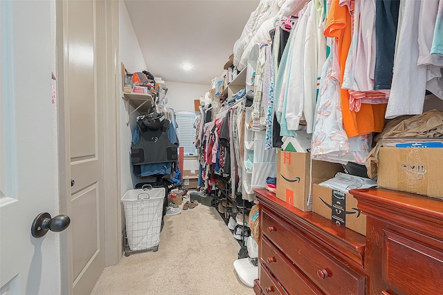 spacious closet with light carpet