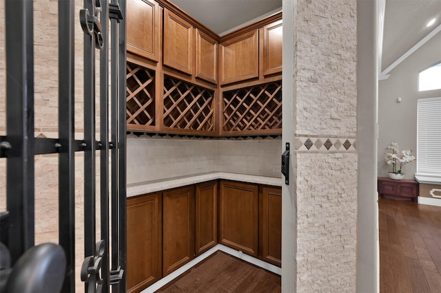 wine room with dark hardwood / wood-style floors