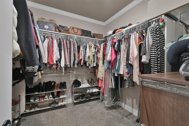 spacious closet featuring carpet