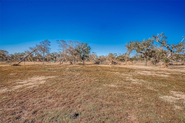 view of yard with a rural view