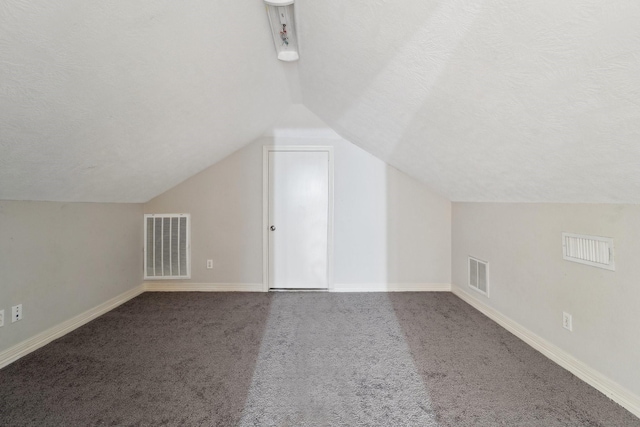 additional living space featuring lofted ceiling, carpet floors, and a textured ceiling